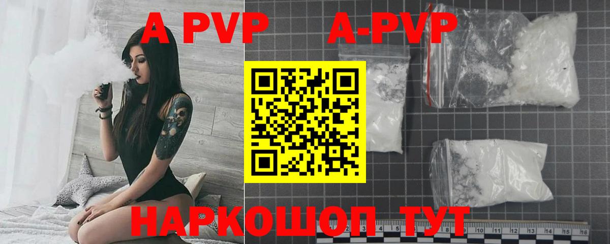 A PVP СК Майкоп
